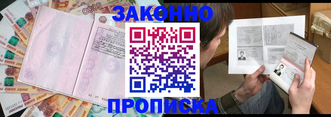 прописка для школы в Михайловке